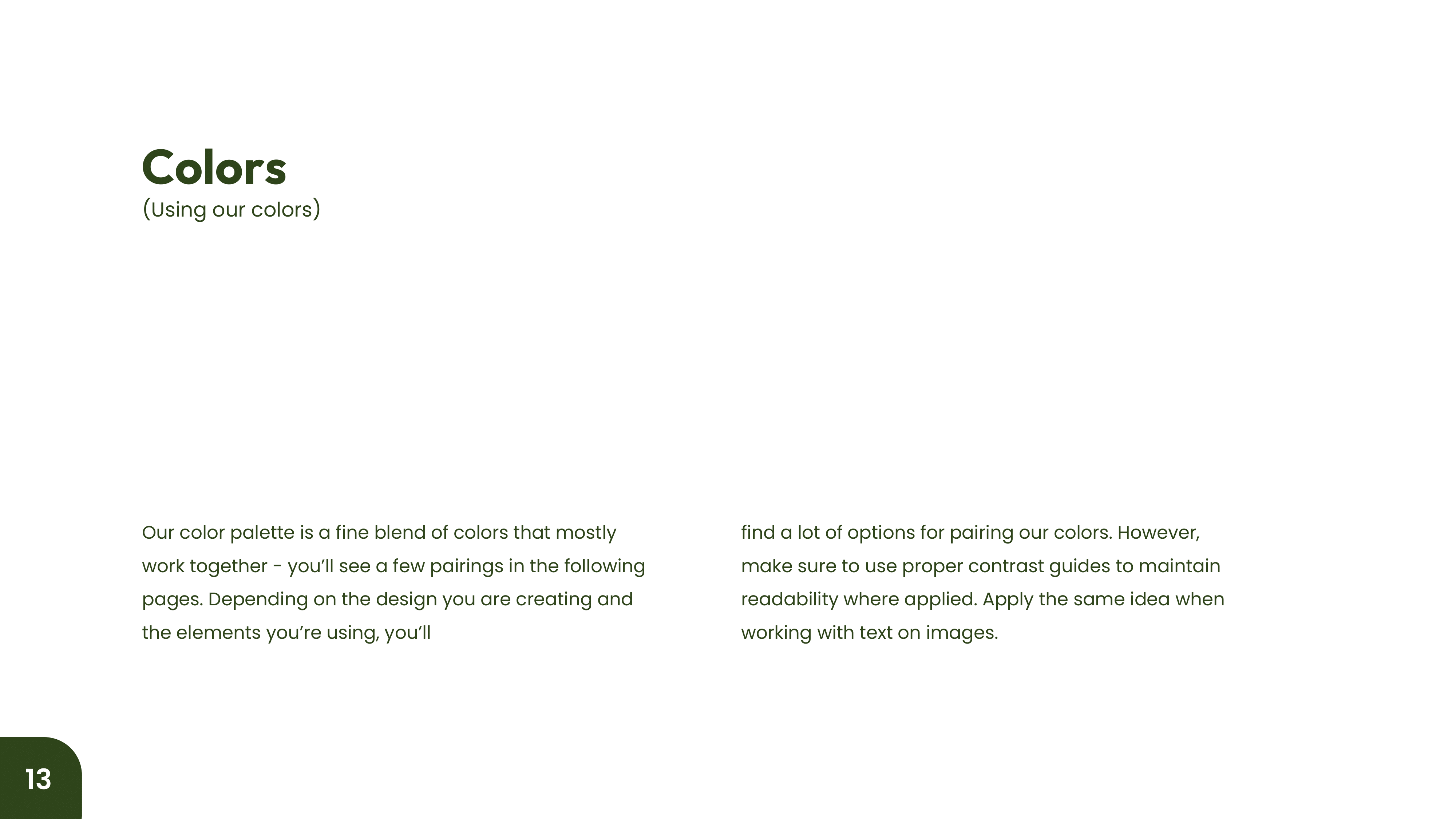 Eccentric Earth Brand Guidelines - Page 11